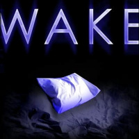 Novelist Lisa McManns routine: Wake, Fade, Gone! INTERVIEW