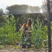Pip Podcast #50: Jaclyn Crupi - Gardening, Preserving  Living Simply