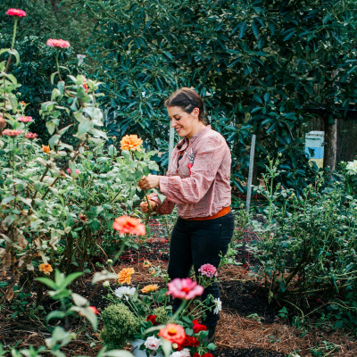 Pip Permaculture Podcast