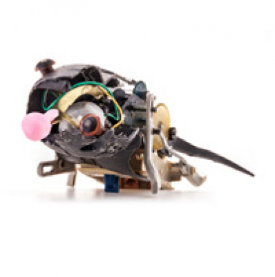 Zapp! Inglés Coloquial By Ingles.fm