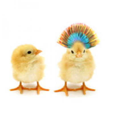 Zapp! Inglés Coloquial By Ingles.fm