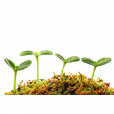 Zapp! Inglés Coloquial By Ingles.fm