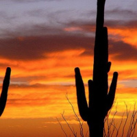 Evan Sidery of the Locked On Suns podcast joins to check on the status of the Suns