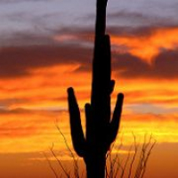 Washington Posts Tim Bontemps joins to preview the Suns season