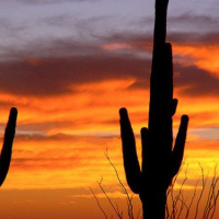 Hoops Habits Gerald Bourguet joins to talk Suns and the Nuances of Rebuilding