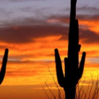 David Nash of the 7SOL Pod joins to talk the PG trade market