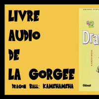 LIVRE AUDIO - Dragon Ball 2 - Kamehameha
