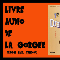 LIVRE AUDIO - Dragon Ball 1: Sangoku