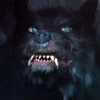 The Nothing: Nihilism and the dissolution of all