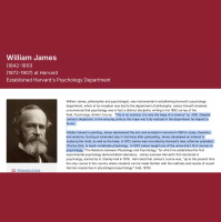 Behavior Architecture