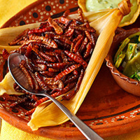 Comida prehispánica en Hidalgo