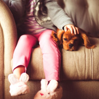 Prohibido quedarse en casa