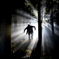 El terror y el suspenso a flor de piel