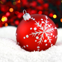 ¡Los festejos navideños ya comenzaron!