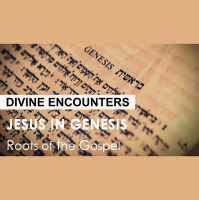 Genesis 11:1-9 - DIVINE ENCOUNTERS - Audio