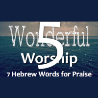 WONDERFUL WORSHIP - 7 Hebrew Words for Praise - Psalm 145 - Audio