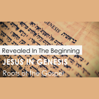 Genesis 1:1 - REVEALED IN THE BEGINNING - Audio