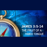 THE FRUIT OF A TAMED TONGUE - James 3:5-14 - Audio