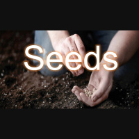 SEEDS - Laura Duncan - Audio