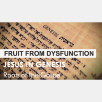 Genesis 29:1-35 - FRUIT FROM DYSFUNCTION - Audio