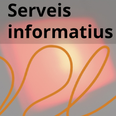 Serveis Informatius
