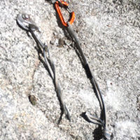 Ep 7 - Hanging By A Thread - Carl Dec