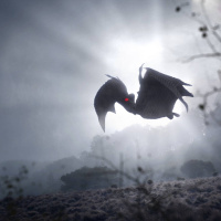 Espacio en blanco - Vimanas y hombres polilla - 23/11/25