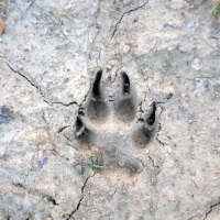 Espacio en blanco – Rastreador - 07/09/25