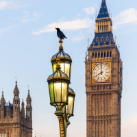 Espacio en blanco - Los cuervos de la Torre de Londres - 09/11/25