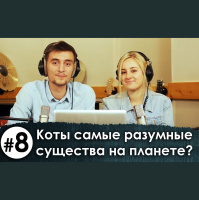 Коты самые разумные существа на планете!? (=^ ◡ ^=) (8) 