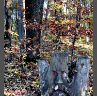 Klingt nach dem neuen Kanye West Album