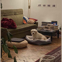 Kein Grund zu streiten?