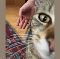 Die Zwei von der Tankstelle mit Gesichtsfetisch