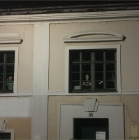 Faust  Furious ODER die moderne grüne Glatze