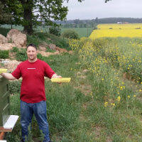 تربية النحل.. النساء وتكنولوجيا المعلومات