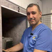 كيفية الحفاظ على هدوء حيوانك الأليف خلال احتفالات رأس السنة