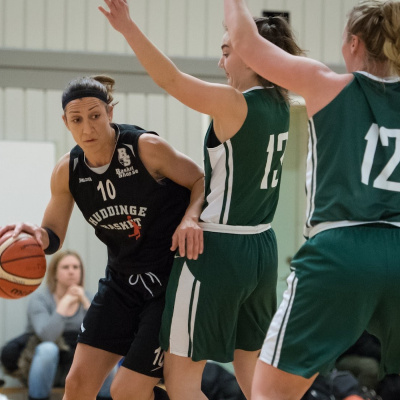 Arabisk Talkshow, Talkshow