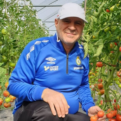 Arabisk Talkshow, Talkshow