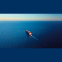 Irish Flapper Skate at Risk of Extinction