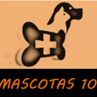 mascotas 10 21-05-16
