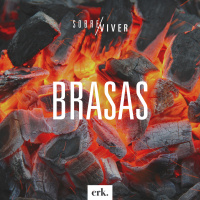 Sobre Viver #311 - Brasas / Ed René Kivitz