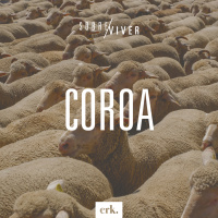 Sobre Viver #335 - Coroa / Ed René Kivitz