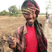 S2 ep.2. Patentere frø