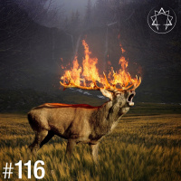 #116 - Wird die Welt ein schlechterer Ort?