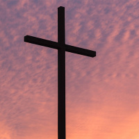 End Times - Study #20