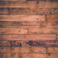 End Times (Study 5 of 6)