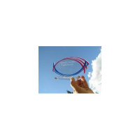 2011 International Naturally Autistic People AWARDS KICK-OFF