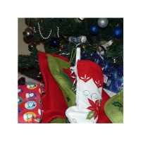 ANCA Sundays 12pm to 1:30pm (Encore)