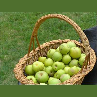 Anca Radio Shows, Autistic People