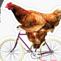 La Gallina dalle Uova dOro di ogni Ciclista